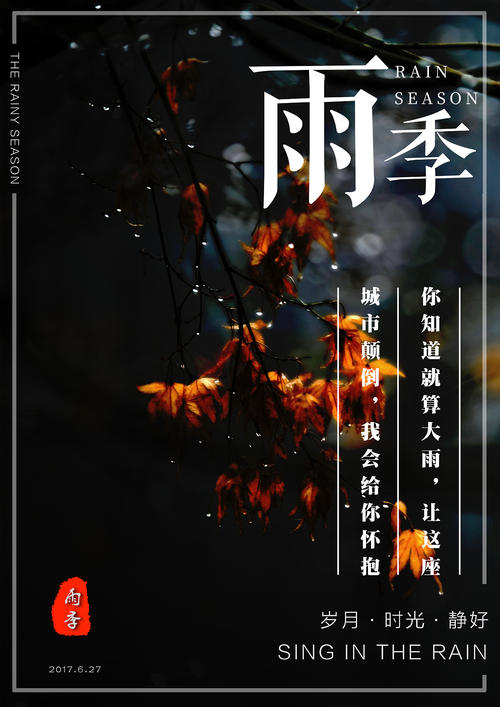 购买假驾驶证